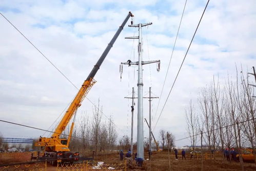 2021春季電力報告配網(wǎng)供給篇丨配電投資連超輸電 網(wǎng)架結(jié)構(gòu)迭代升級 供（配）電業(yè)務(wù)